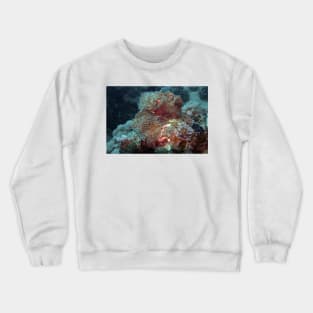 coral reef in the ocean Crewneck Sweatshirt